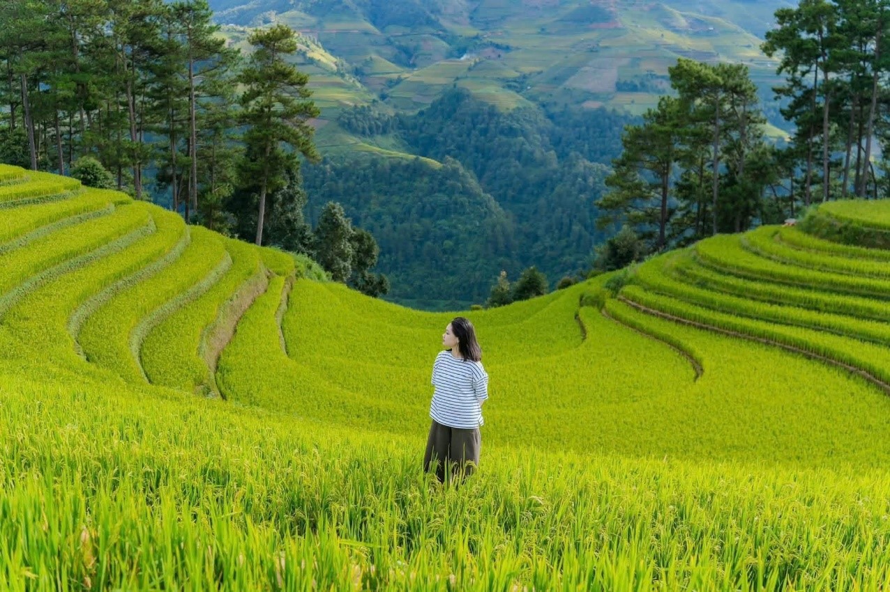 Mu Cang Chai