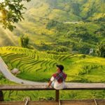 Y Ty duoi nang vang