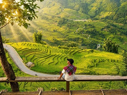 Y Ty duoi nang vang