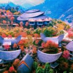 garrya mu cang chai bia