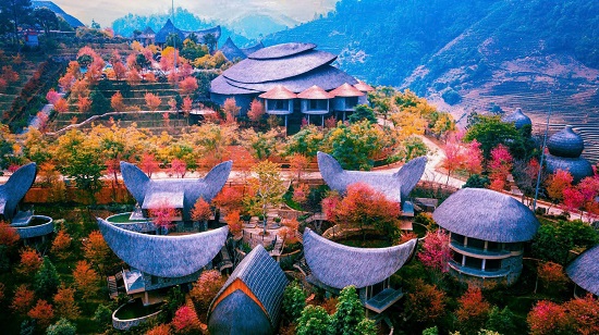garrya mu cang chai bia