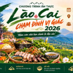Lao Cai Cham Dinh Vi Giac 2026 1400px