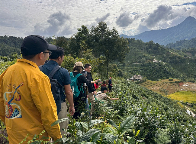 cung duong di san hien 3