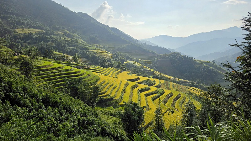 ruong bac thang ban lien