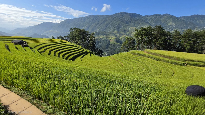 ruong bac thang mu cang chai